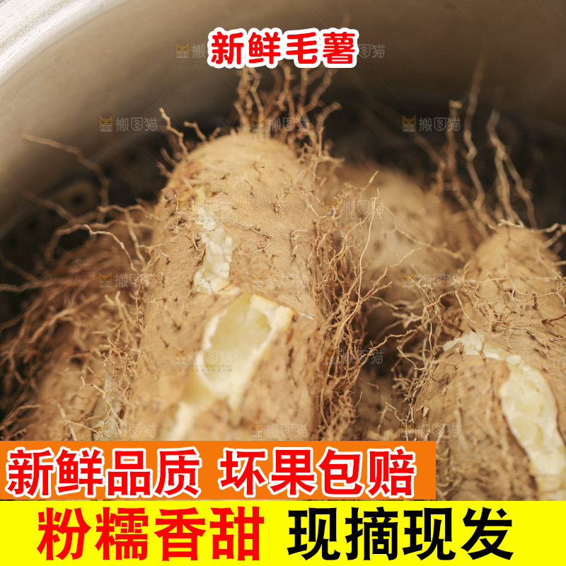 锅里蒸熟的毛薯