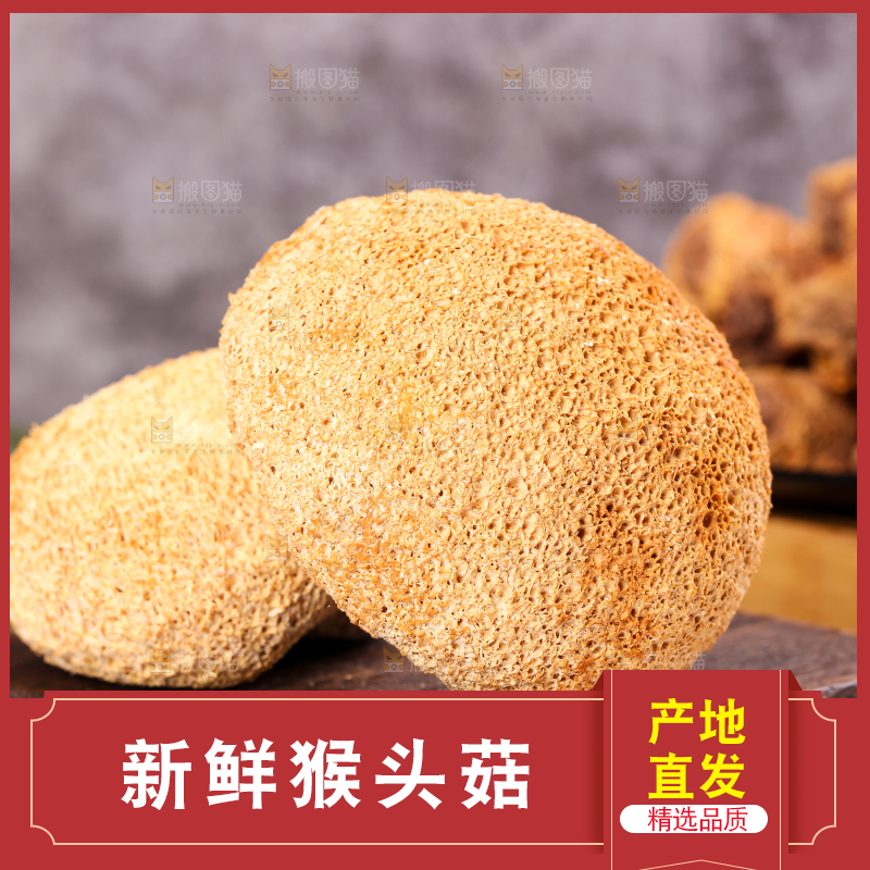 木底上的猴头菇