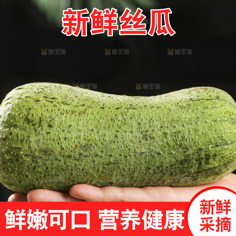 木底上的肉丝瓜