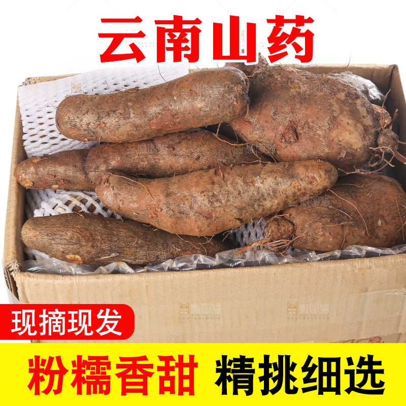 白底上的云南山药