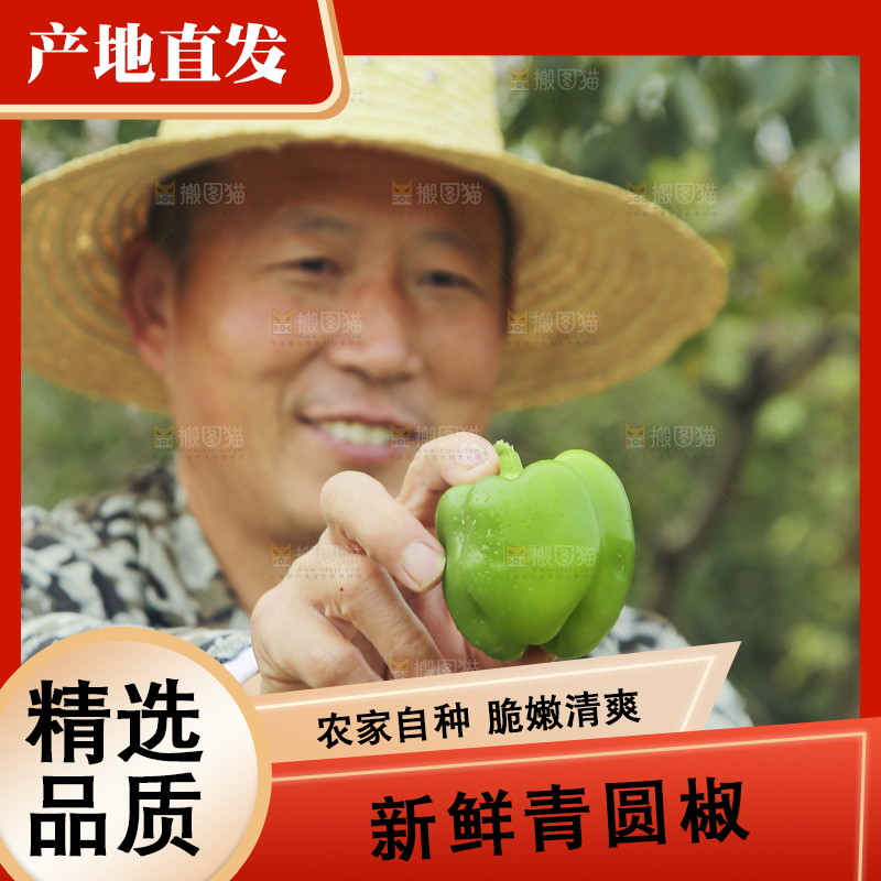 手里拿着新鲜青圆椒