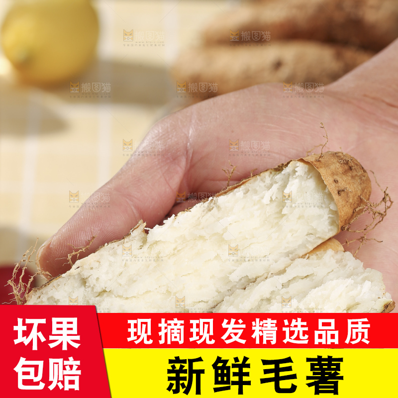 浅底上的新鲜毛薯