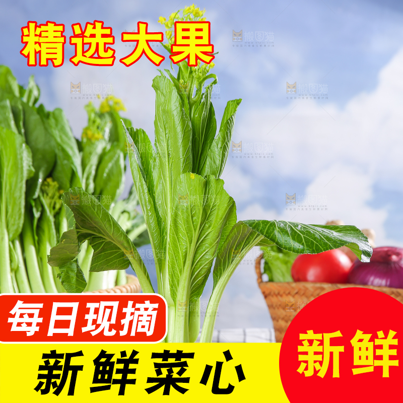 浅底上的广东菜心