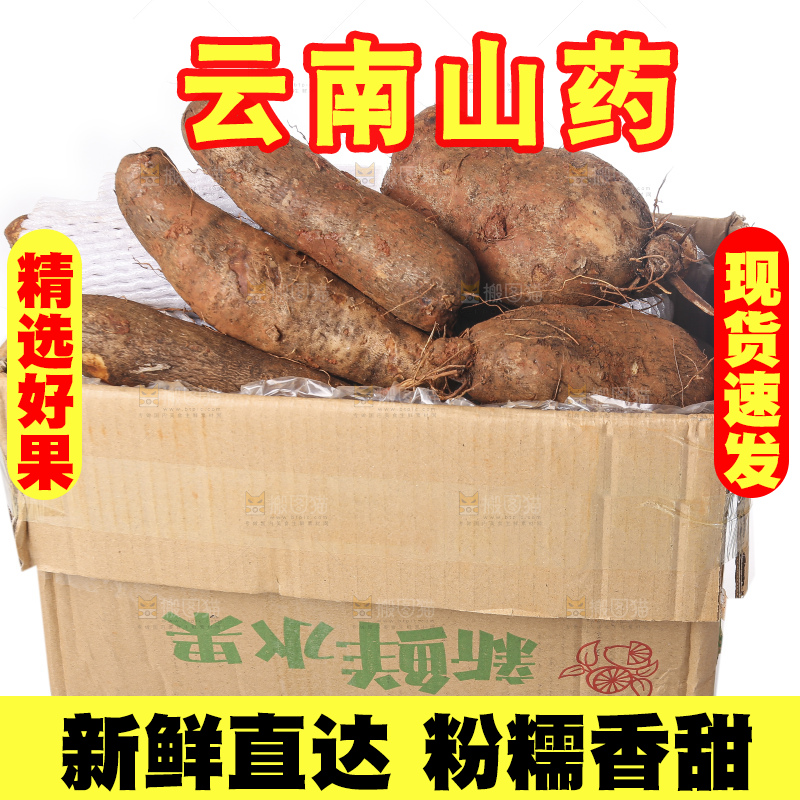 白底上的云南山药