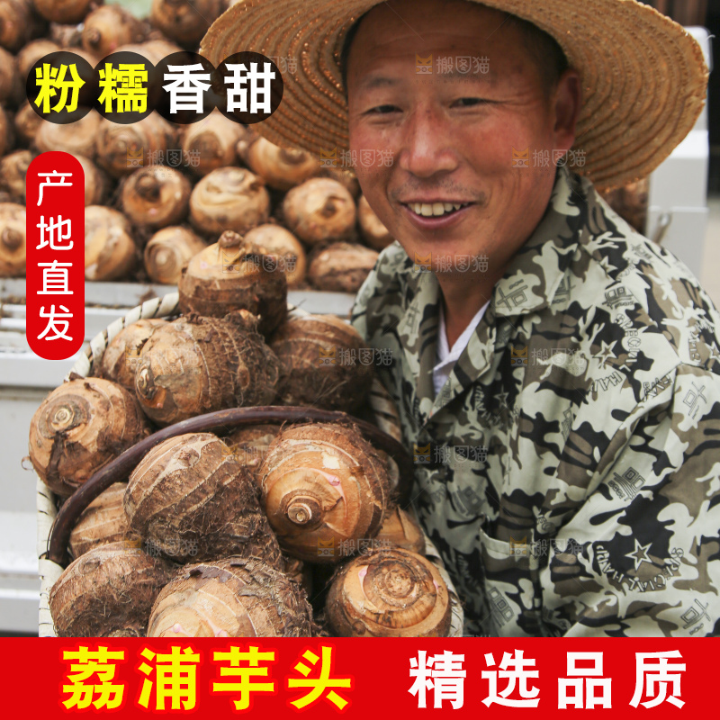 大片荔浦芋头