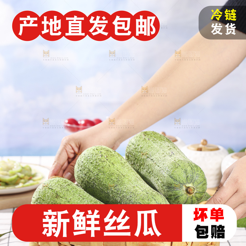 浅底上的肉丝瓜