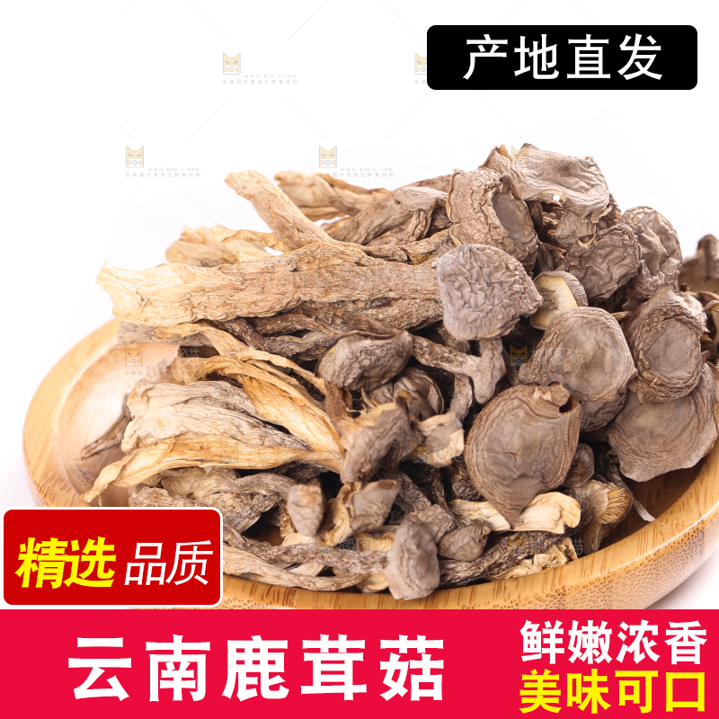白底上的鹿茸菇