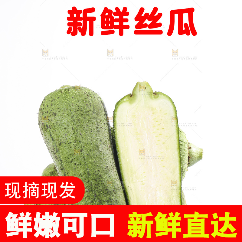 白底上的肉丝瓜