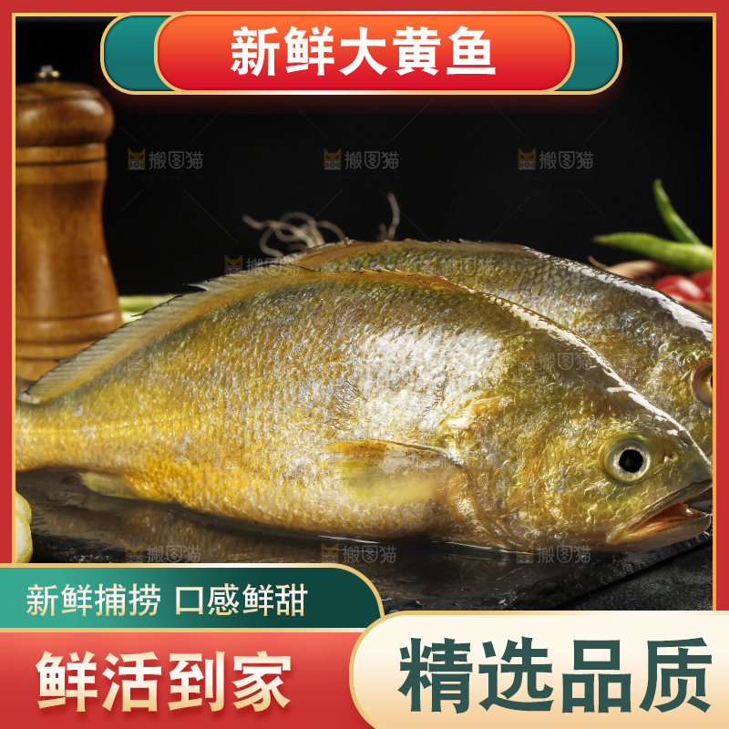 深底上的大黄鱼