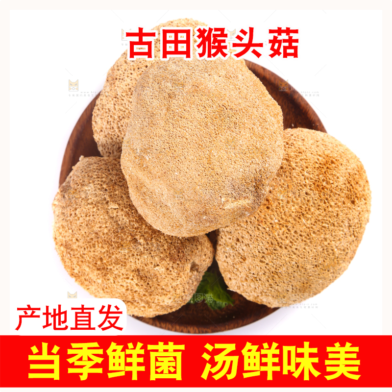 白底上的猴头菇