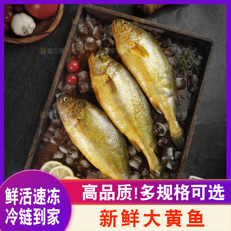 深底上的大黄鱼