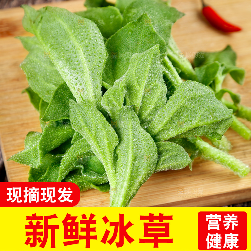 深底上的冰草