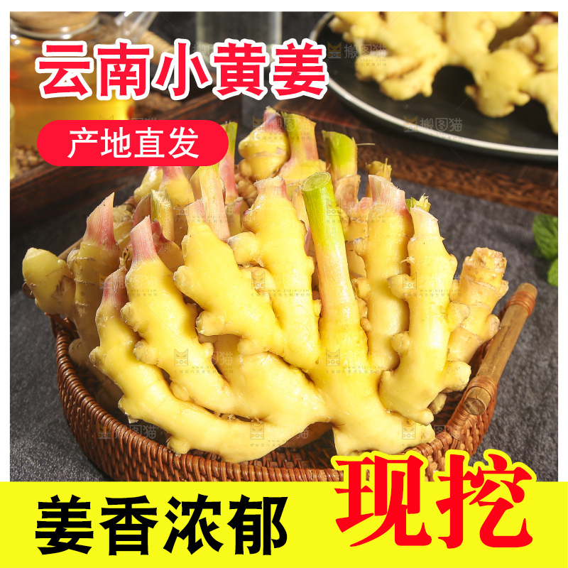深底上的小黄姜