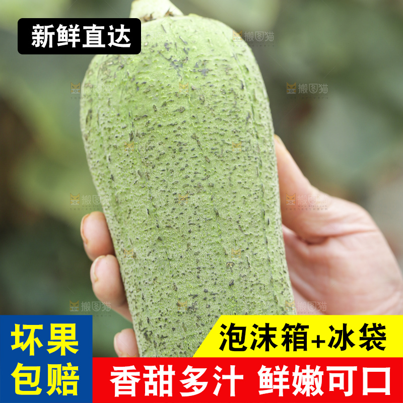 丝瓜藤上的丝瓜