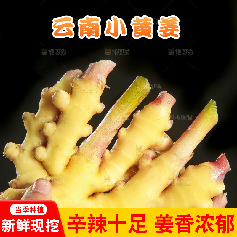 深底上的小黄姜