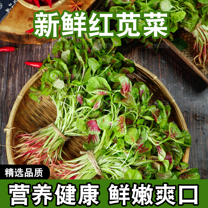 深底上的新鲜苋菜