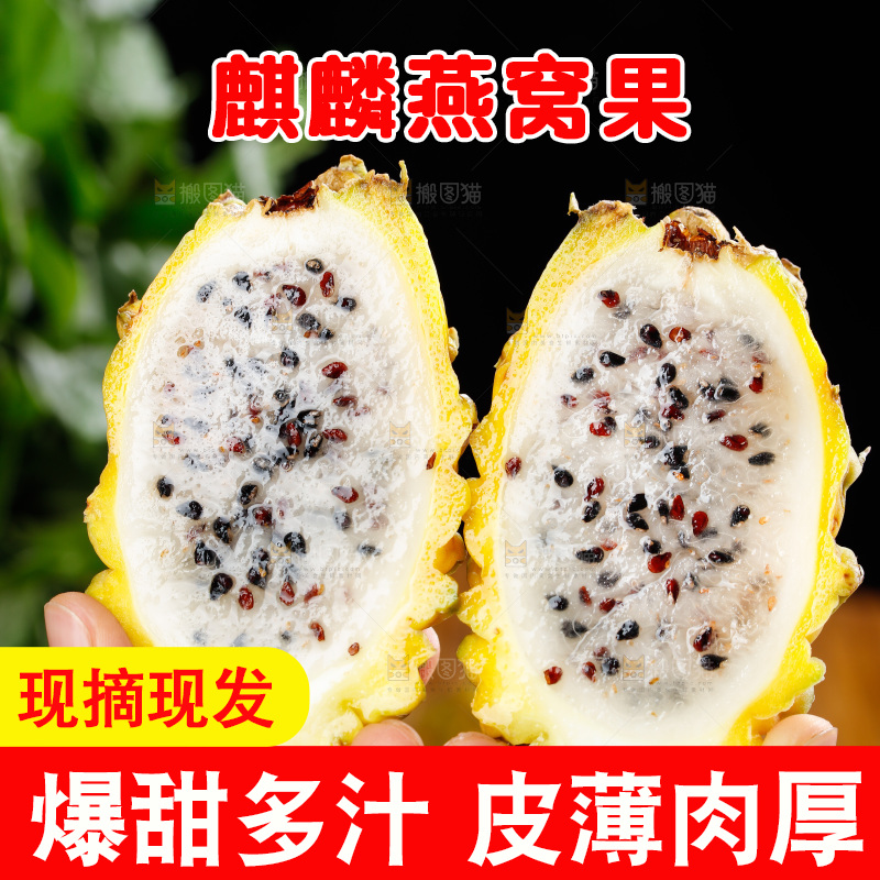 深底上的燕窝果