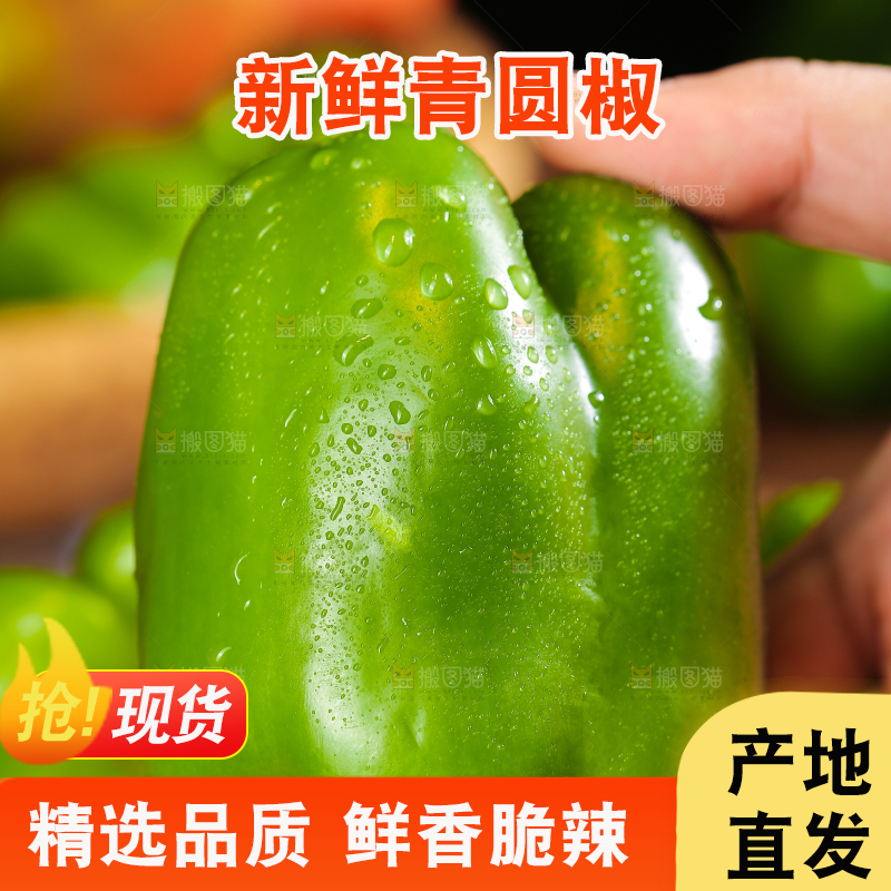 木底上的圆青椒