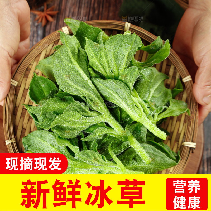 深底上的冰草