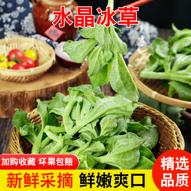 深底上的冰草