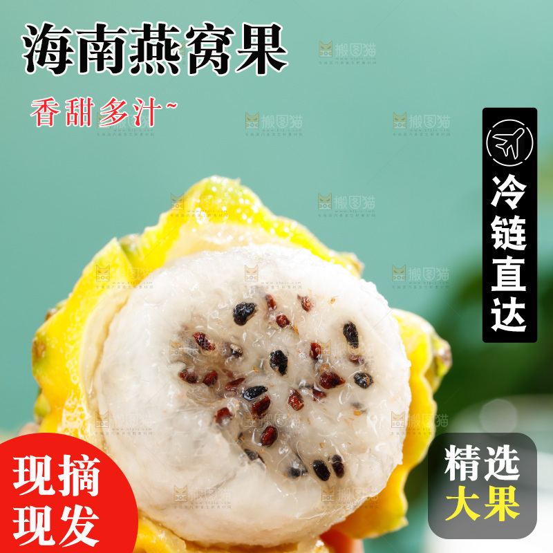 浅底上的燕窝果