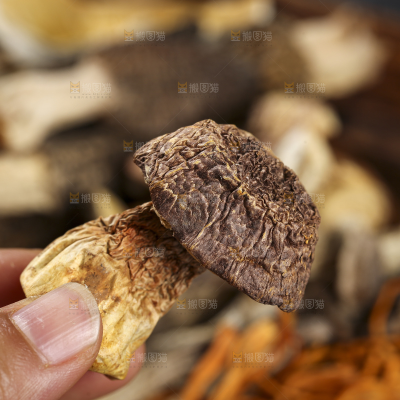 木底上的菌菇汤