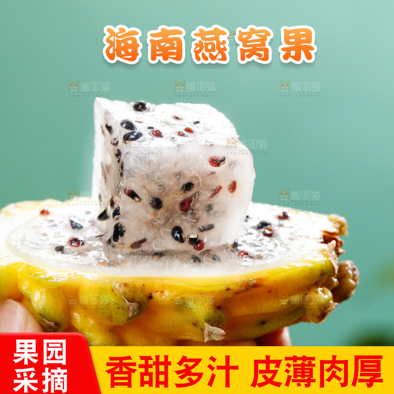 浅底上的燕窝果