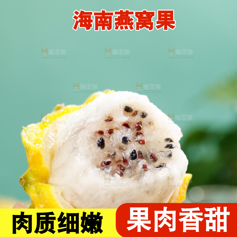 浅底上的燕窝果