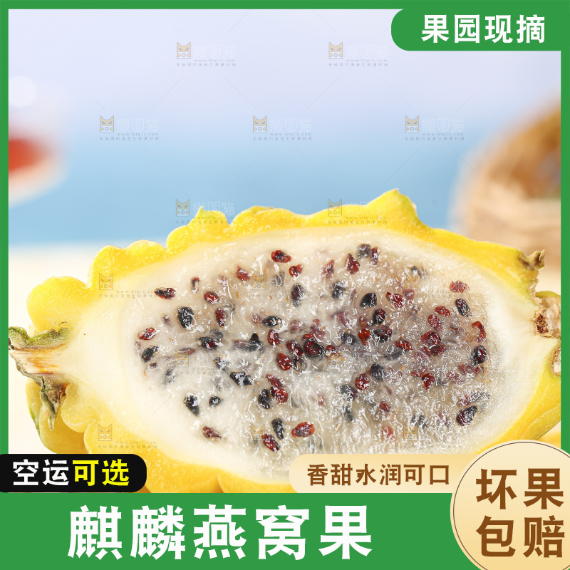 浅底上的燕窝果