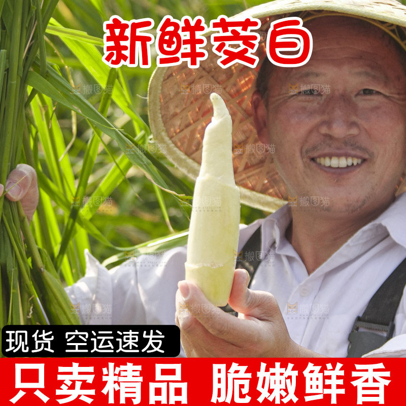 手里拿着新鲜茭白