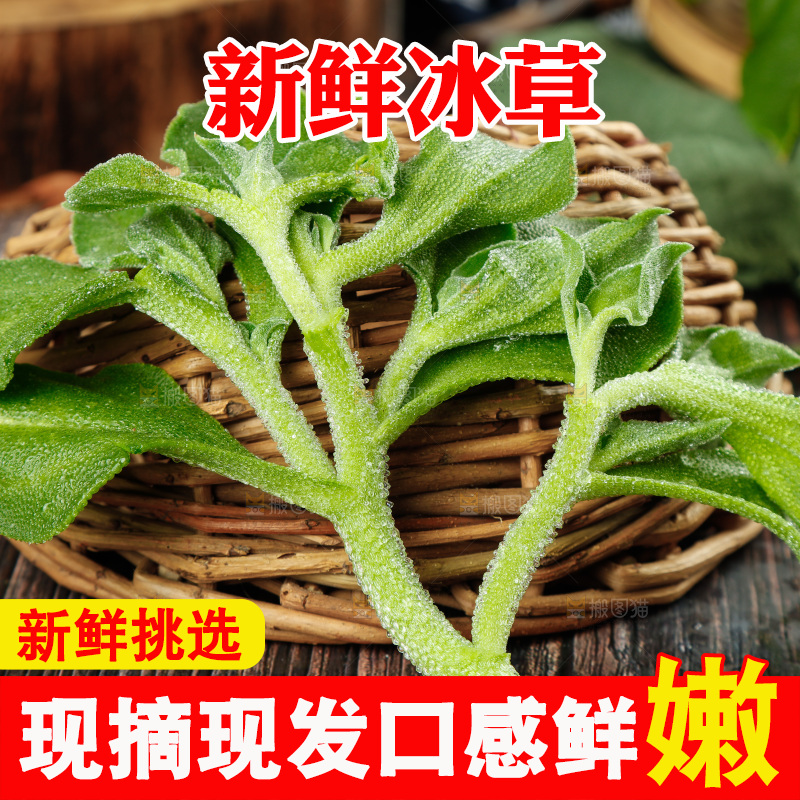 深底上的冰草
