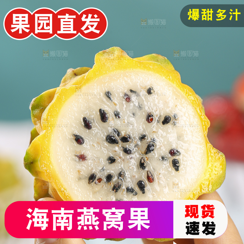 浅底上的燕窝果