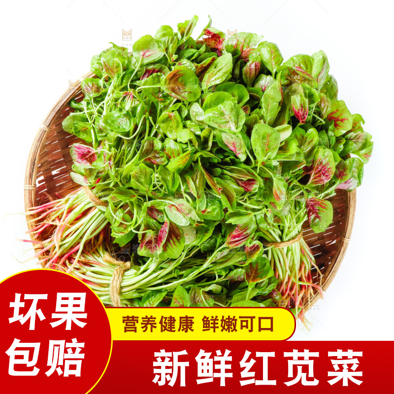 白底上的农家苋菜