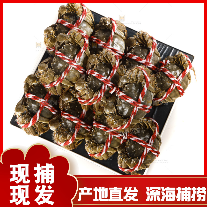 白底上的大闸蟹