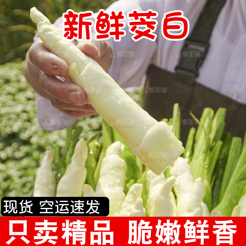 手里拿着新鲜茭白