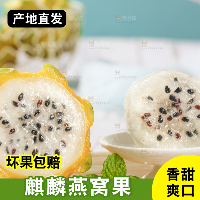 浅底上的燕窝果