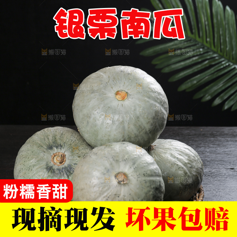 深底上的银栗南瓜