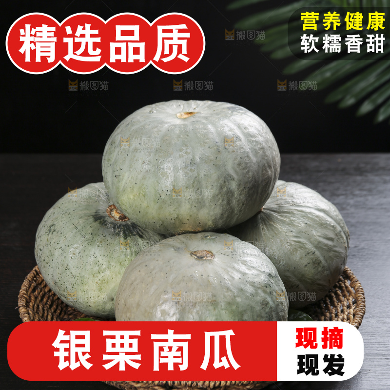 深底上的银栗南瓜