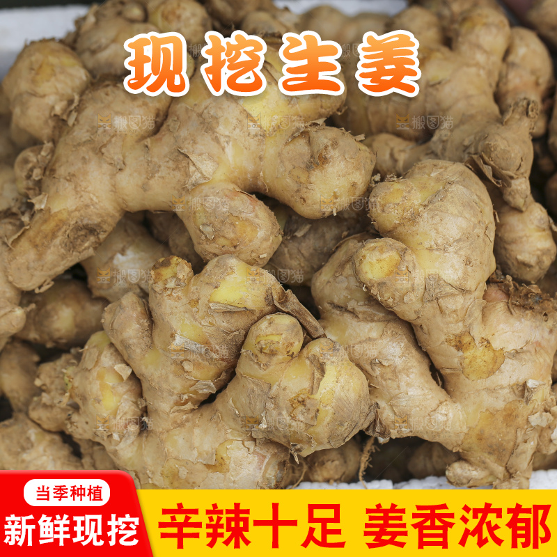 手里拿着新鲜生姜