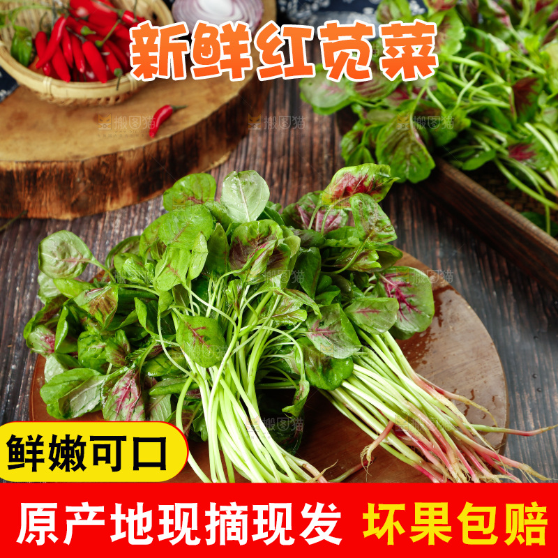 深底上的新鲜苋菜