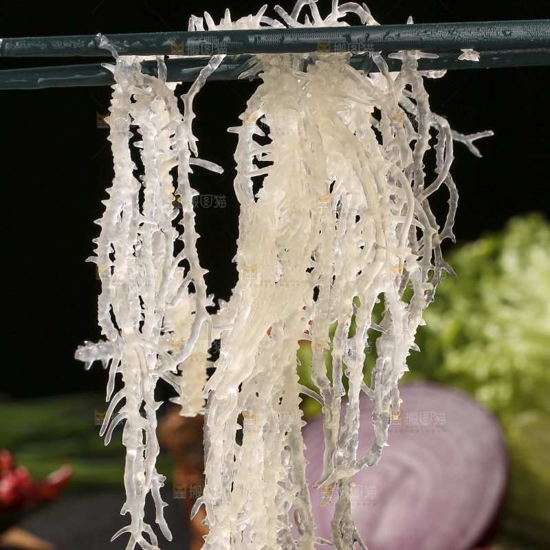 深底上的龙须菜