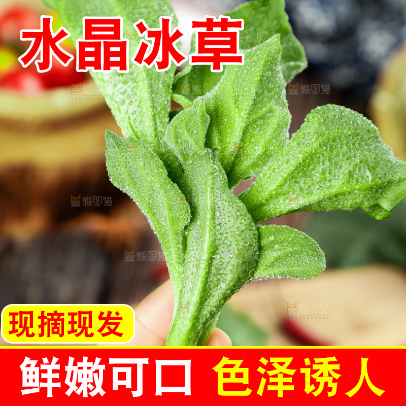 深底上的冰草