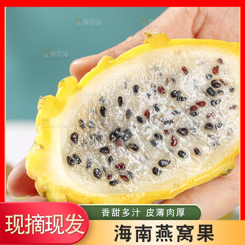 浅底上的燕窝果
