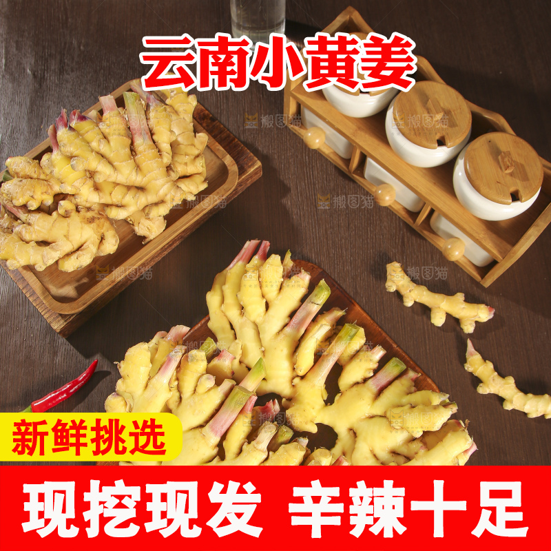 深底上的小黄姜