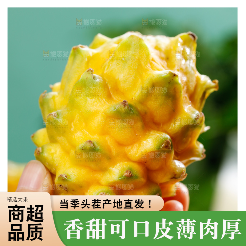 浅底上的燕窝果
