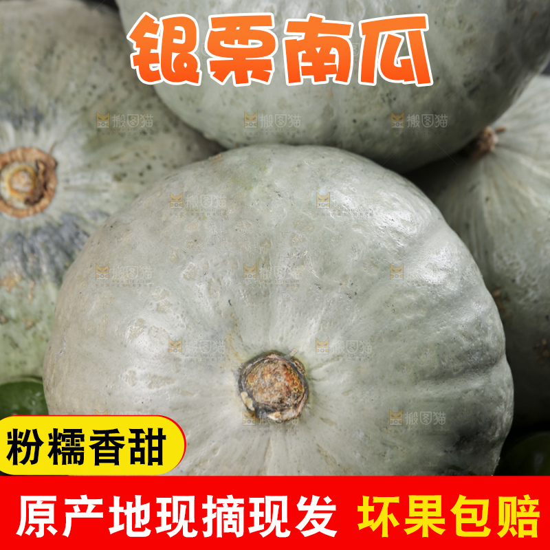深底上的银栗南瓜
