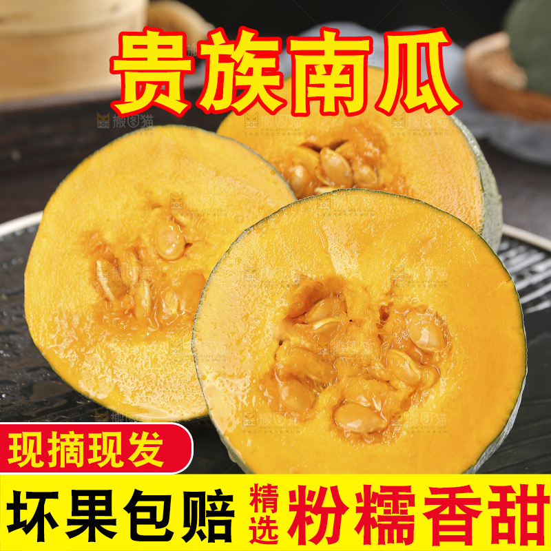 深底上的贵族南瓜