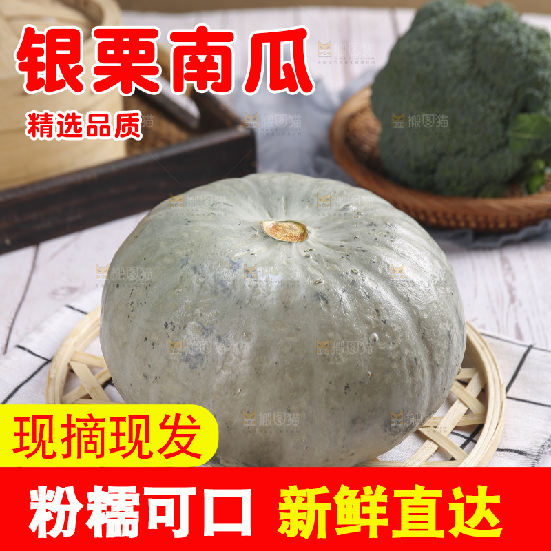 浅底上的银栗南瓜