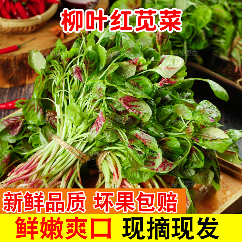 深底上的新鲜苋菜