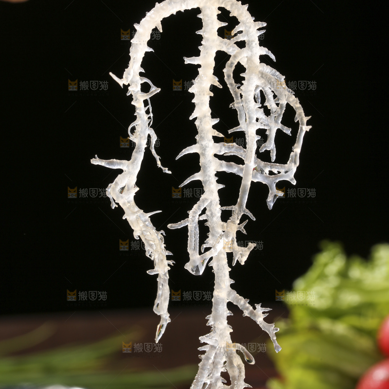 深底上的龙须菜